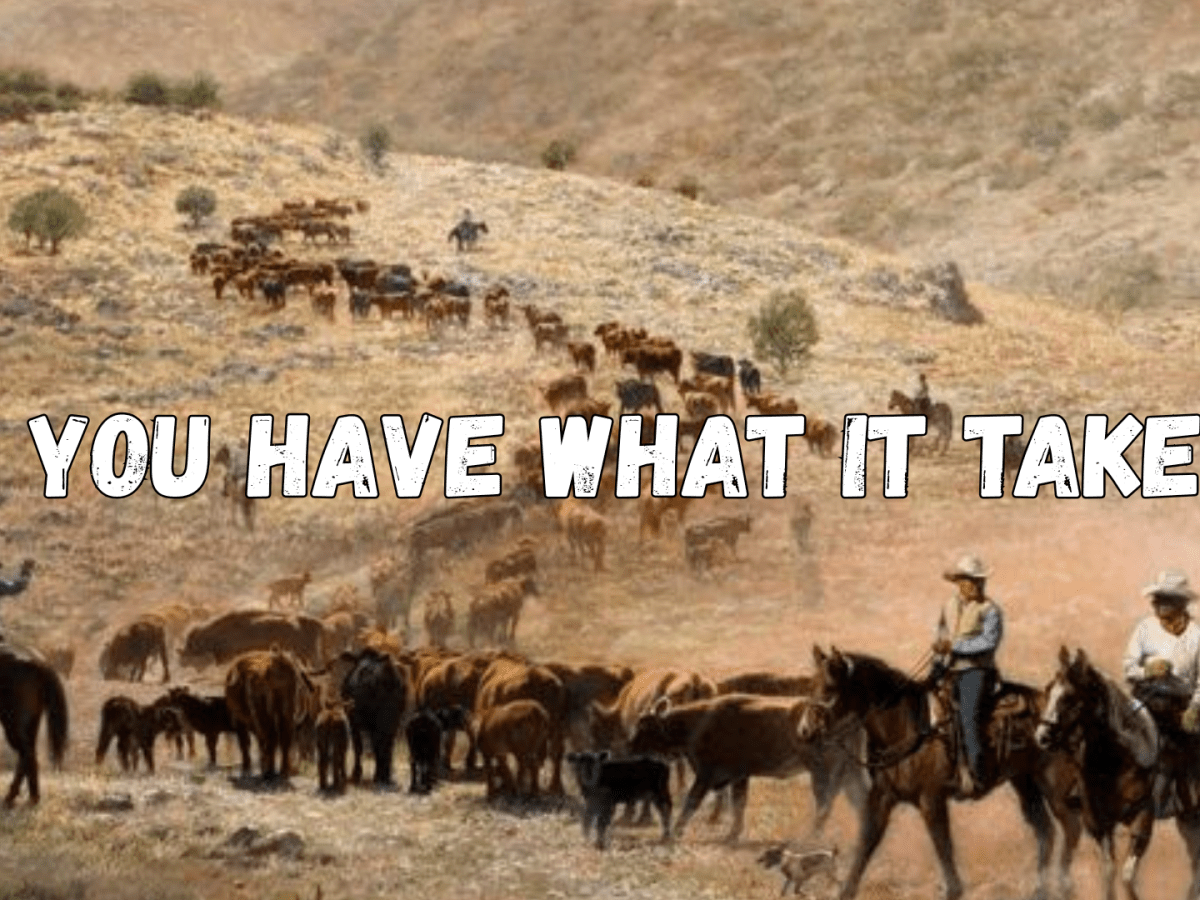 Do You Have What It&nbsp;Takes?